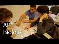 Students learn macromolecules through sorting game