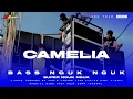 Download Lagu DJ BAS NGUK || DJ CAMELIA SLOW PARTY • NEW YEAR 2024• #maaudiolawang djterbarunewyear2024