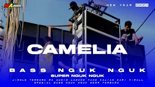 Download DJ BAS NGUK || DJ CAMELIA SLOW PARTY • NEW YEAR 2024• #maaudiolawang djterbarunewyear2024 MP3