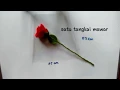 Download Lagu Wrapping single rose | Cara membungkus bunga mawar flanel