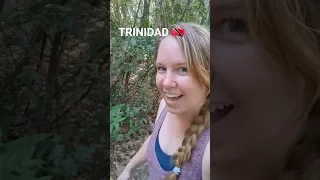 Finding War-time Bunkers in the Trinidad Jungle 🇹🇹 #trinidad #usarmy #urbanexploration