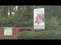 Oatland Island Wildlife Center Celebrates 40 Years Savannah GA
