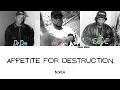 Appetite For Destruction - N.W.A Colour Coded Lyrics ENG