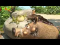 Download Lagu Jungle bunch new episode in hindi