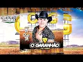 Lagu O GARANHÃO DO FORRÓ. ,.