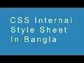 CSS Internal Style Sheet in Bangla