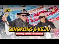 Download Lagu SINGKONG DAN KEJU - NDARBOY GENK X OM LORENZA (Official Live Music Video)