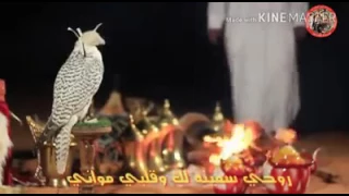 شيله لنته تباني دوس بادوس بادوس    كلمات رضوان  الربيعي  دندنها