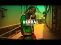 Download Lagu Reggae Trap Type Beat | Protoje Type beat | Reggae Dub Trap Instrumental 2024 | HERBAL RIDDIM
