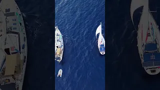Notre ancien et notre nouveau voilier naviguant ensemble, c’était vraiment un moment magique ✨