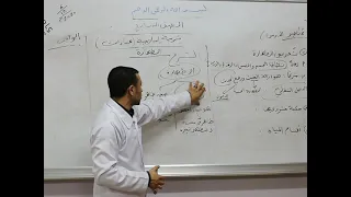 مادة التربية الأسلامية للصف السابع الاساسي درس الطهارة 