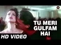 Lagu Tu Meri Gulfam Hai | Agni Sakshi [1996] | Manisha Koirala, Jackie Shroff