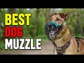 TOP 5 Best Dog Muzzles to Prevent Biting 2026