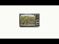 Download Lagu Coconightman - Linda (video lirik)