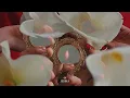 Normatif - Jesika (Official Audio)