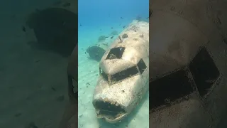 Sailing Sweet Ruca Episode 176 Sneak Peak #sailing #adventure