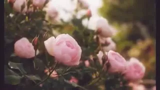 اغنية تركية مترجمه أرجوك اتصل  اغنية تركية مترجمه أرجوك اتصل