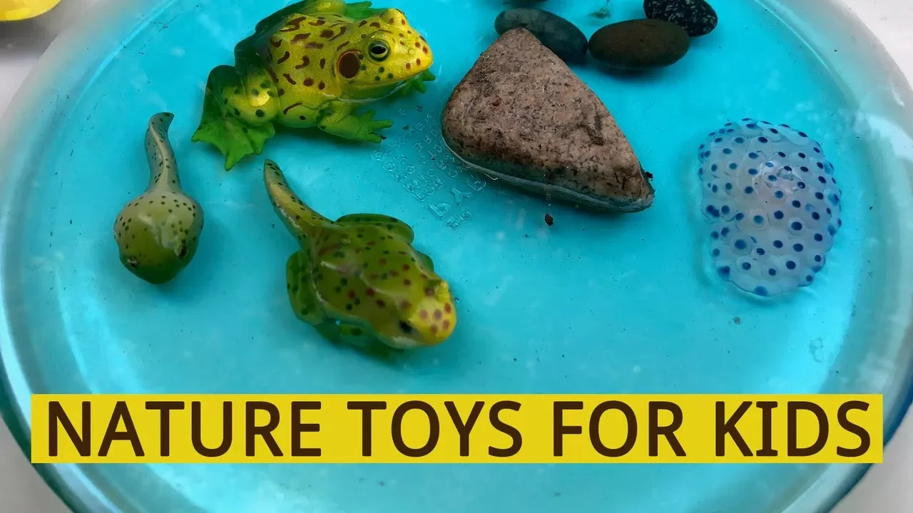 Nature Toys for Children (Gift Guide)  (Baby - Preschool Age)