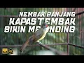 Download Lagu KAPAS TEMBAK GACOR HARI INI! NEMBAK PANJANG BIKIN MERINDING!!