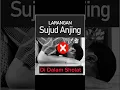 Lagu Sujud yang dilarang di dalam sholat. #muslim #sunnah #shorts
