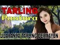 Lagu TARLING PANTURA CIREBONAN || JUARANYA TARLING DERMAYON