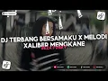 Lagu DJ TERBANG BERSAMAKU X MELODI XALIBER MENGKANE VIRAL TIKTOK 2025