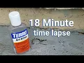 Terro Ant Killer - Time Lapse of 18 minutes Summer Ant Problem