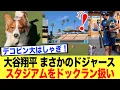 Lagu 【動画あり】大谷が公開した愛犬デコピンの最新ショットに癒やされるファン続出のワケ