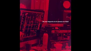 kid s fault veneno lyrics video 