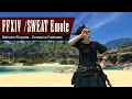 FFXIV Sweat Emote - Ballroom Etiquette