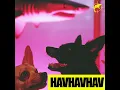Lvbel C5 - HAVHAVHAV (Bass Boosted) [1 HOUR]