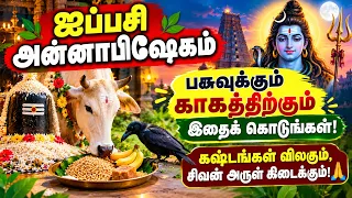 ஐப்பசி அன்னாபிஷேகம் 🔱 பசுவுக்கும் காகத்திற்கும் இதைக் கொடுங்கள்! கஷ்டங்கள் விலகும்