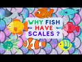 why fish have scales Animal for Kids