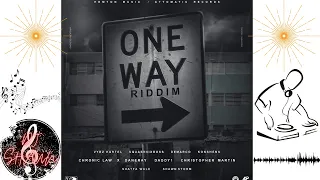 dj shaun one way riddim mix