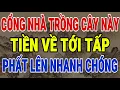 Download Lagu TRỒNG CÂY NÀY TRƯỚC CỔNG – TIỀN VỀ TỚI TẤP, GIÀU NHANH NHƯ VŨ BÃO | ĐẠI CÁT AN GIA