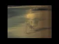 Boards of Canada, "You Retreat In Time And Space"