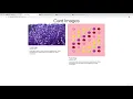 Cards With Images In Bootstrap 4 Learn Bootstrap 4