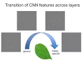 Plant Classification with Deep Learning
