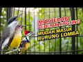 Download Lagu MASTERAN PETULAK JINGJING PIJANTUNG PISANG PELATUK BAWANG BURUNG LOMBA MUDAH MASUK