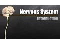 Lagu The Nervous System In 9 Minutes
