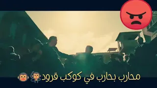 باشا مصر اكشن مهرجان حمو بيكا لسه منزلش 