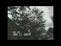 EDEN - float Tedy T not