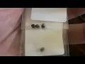 Ganja seeds form herbies