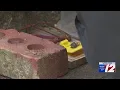 East Providence neighborhood plagued by influx of rats