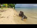 Download Lagu The Beauty of Poso Lake