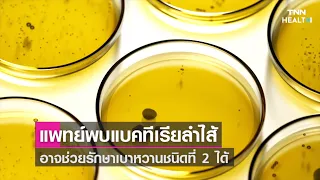  ทำไมโรคเบาหวานชนิดที่ 2 ถึงเกิดขึ้น และมีส่วนเกี่ยวข้องกับแบคทีเรียในลำไส้หรือไม่ 