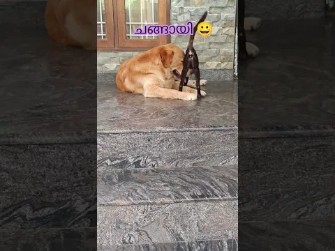 ചങ്ങായി 🥹
