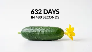 I Filmed Plants Growing From Seed For 632 Days
