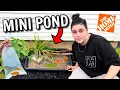 I Built a 20 HOME DEPOT BACKYARD MINI POND CHALLENGE EASY DIY POND