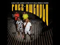 PHEZ'KWENDLU (LADYBUG)